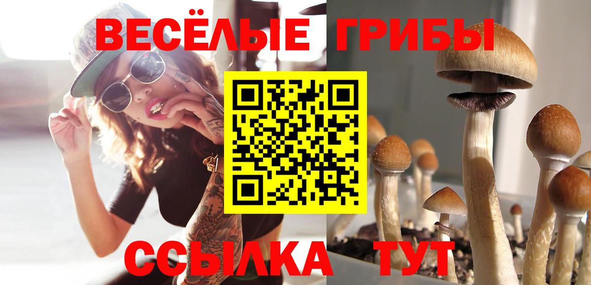 Псилоцибиновые грибы ЛСД  Галлюциногенные грибы мухоморы  Вход с VPN  Пыть-Ях 